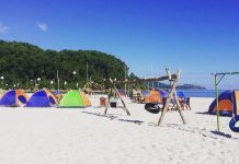 Tranh thủ săn tour hè 2025 giá rẻ tại Du lịch Việt nhé du lich hè