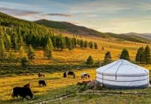 Cảnh quan tuyệt đẹp tại vườn quốc gia núi Khan Khentii Mông Cổ